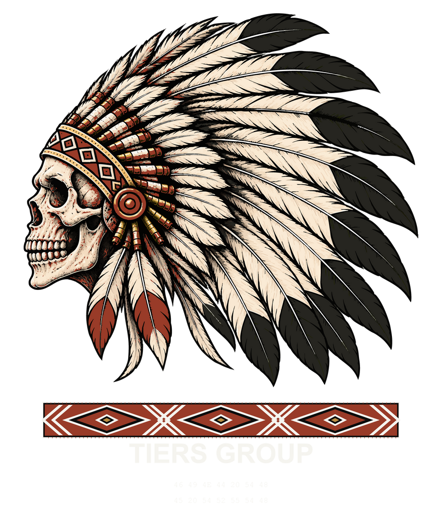 Preserved TIERS Skull and Feather artwork with exact encoded message